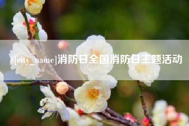 成都消防日全国消防日主题活动