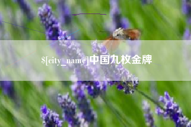 成都中国九枚金牌