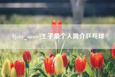 成都王子豪个人简介乒乓球