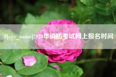 成都2020年消防考试网上报名时间
