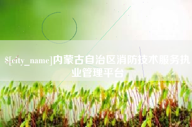 成都内蒙古自治区消防技术服务执业管理平台