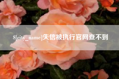 成都失信被执行官网查不到