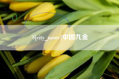 成都中国九金