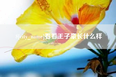 成都看看王子豪长什么样