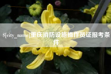 成都重庆消防设施操作员证报考条件