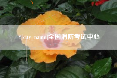 成都全国消防考试中心