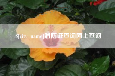 成都消防证查询网上查询