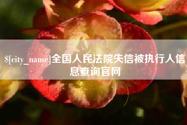 成都全国人民法院失信被执行人信息查询官网