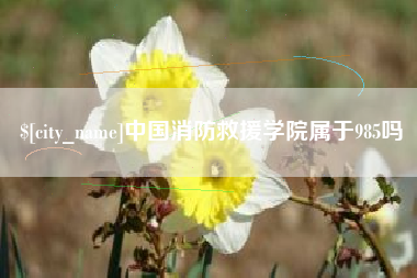 成都中国消防救援学院属于985吗