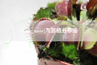 成都九宫格分布图