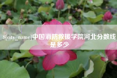 成都中国消防救援学院河北分数线是多少