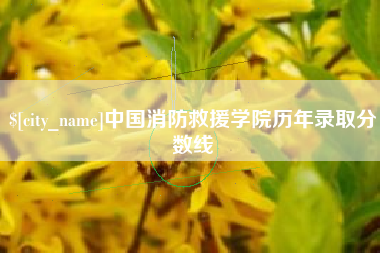 成都中国消防救援学院历年录取分数线