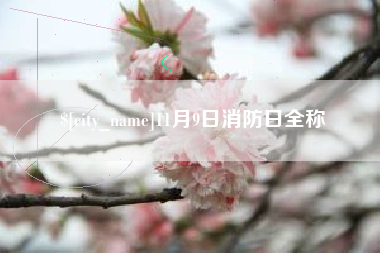 成都11月9日消防日全称