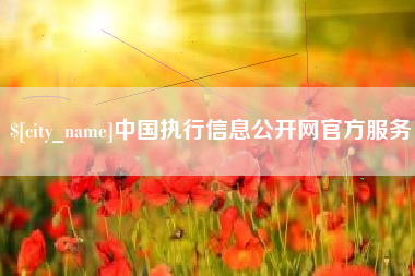 成都中国执行信息公开网官方服务