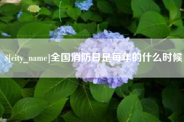 成都全国消防日是每年的什么时候