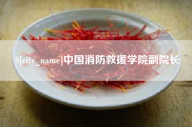 成都中国消防救援学院副院长