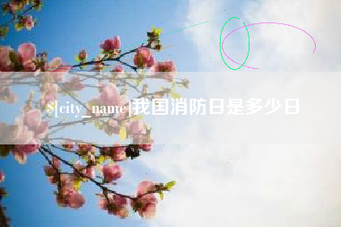 成都我国消防日是多少日