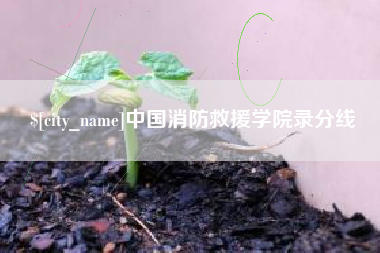 成都中国消防救援学院录分线