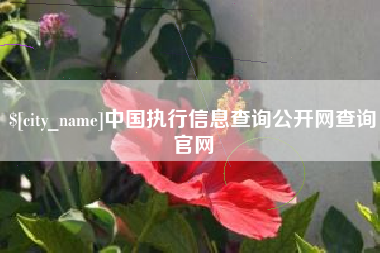 成都中国执行信息查询公开网查询官网