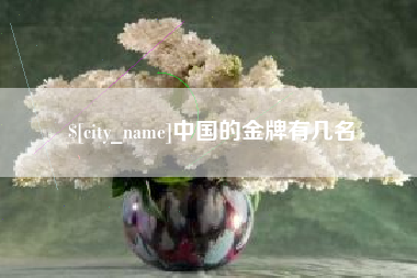 成都中国的金牌有几名
