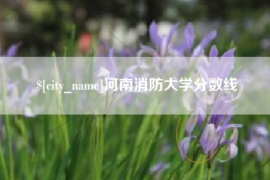 成都河南消防大学分数线