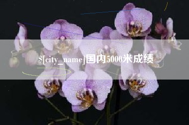 成都国内5000米成绩