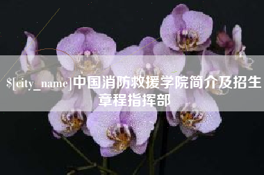 成都中国消防救援学院简介及招生章程指挥部