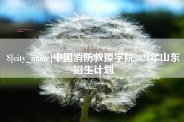 成都中国消防救援学院2021年山东招生计划