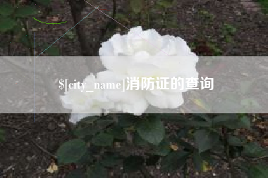 成都消防证的查询
