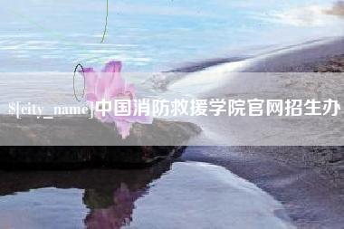 成都中国消防救援学院官网招生办