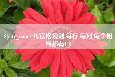 成都九宫格规则,每行,每列,每个粗线都有1-9