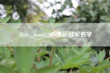 成都2024奥运冠军名字