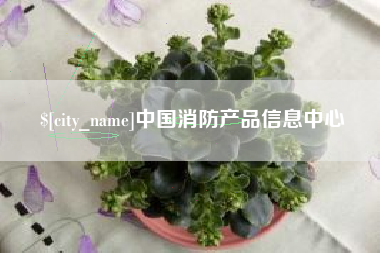 成都中国消防产品信息中心