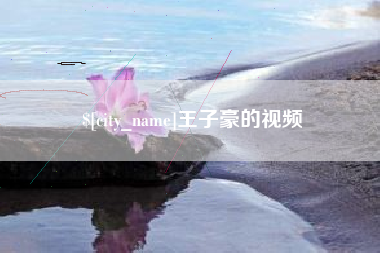 成都王子豪的视频