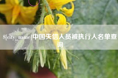 成都中国失信人员被执行人名单查询