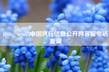 成都中国执行信息公开网客服电话查询