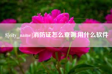 成都消防证怎么查询,用什么软件