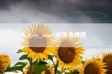 成都中国金牌牌
