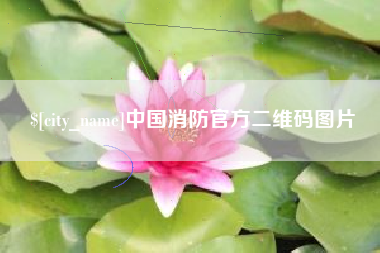 成都中国消防官方二维码图片