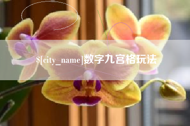 成都数字九宫格玩法