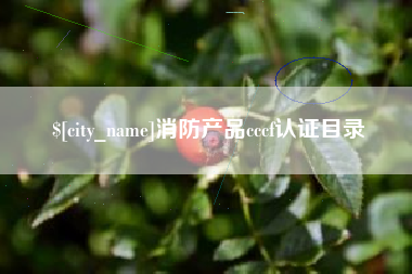成都消防产品cccf认证目录