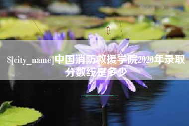 成都中国消防救援学院2020年录取分数线是多少