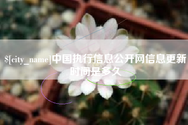 成都中国执行信息公开网信息更新时间是多久