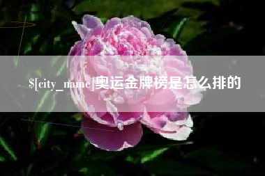 成都奥运金牌榜是怎么排的