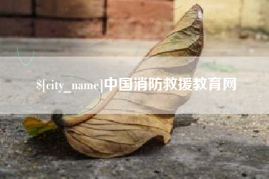 成都中国消防救援教育网
