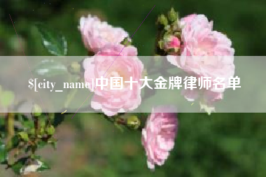 成都中国十大金牌律师名单