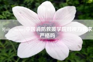 成都中国消防救援学院对视力要求严格吗