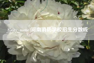 成都河南消防学校招生分数线