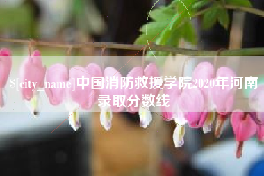 成都中国消防救援学院2020年河南录取分数线