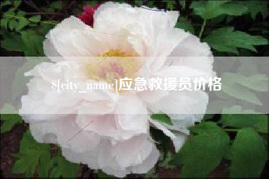 成都应急救援员价格